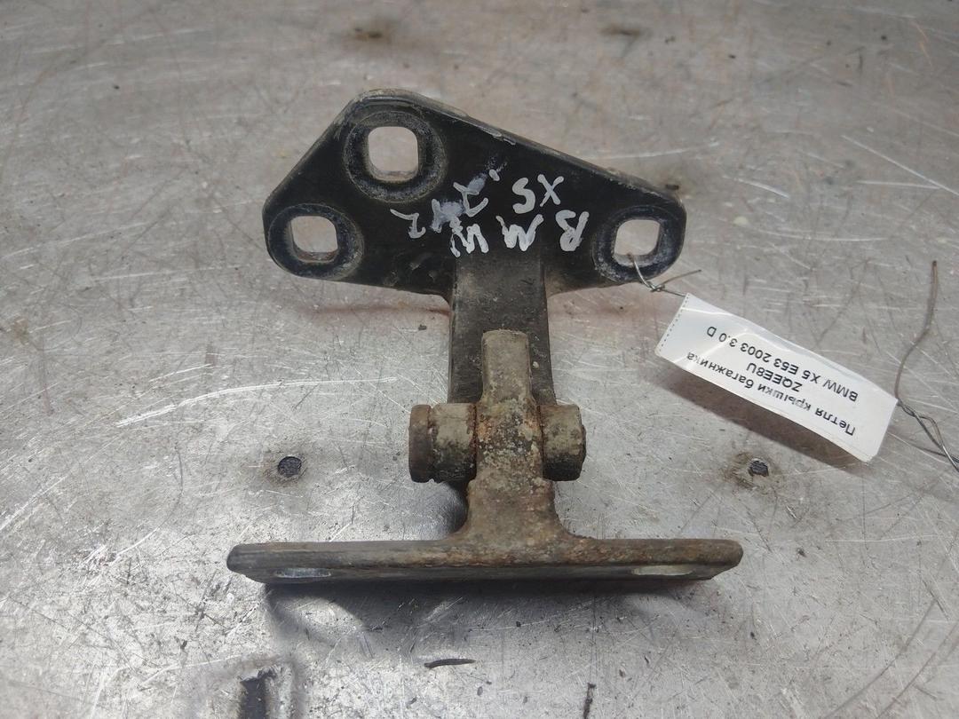 Петля крышки багажника ZQEE8U BMW X5 E53 - Фото 2