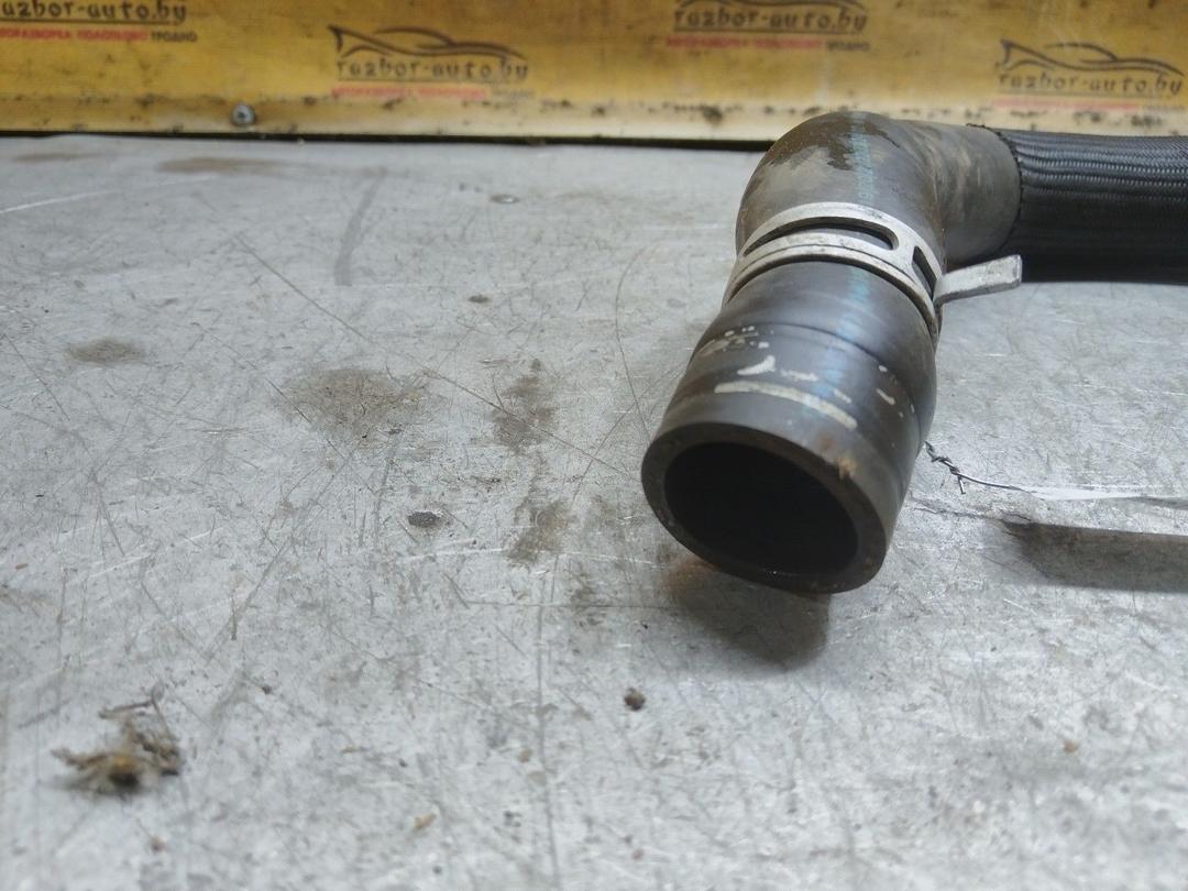 Патрубок радиатора 2JXGL8 Citroen Xsara Picasso - Фото 4