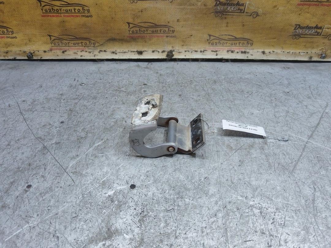 Петля крышки багажника JBW73P Citroen C8 - Фото 2