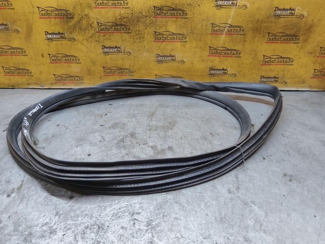 Уплотнитель двери задней левой R2YJLC Toyota Corolla - Фото 2