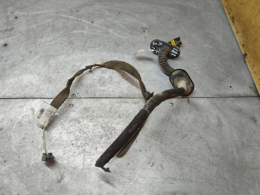 Проводка двери задней левой TE902S Renault Scenic