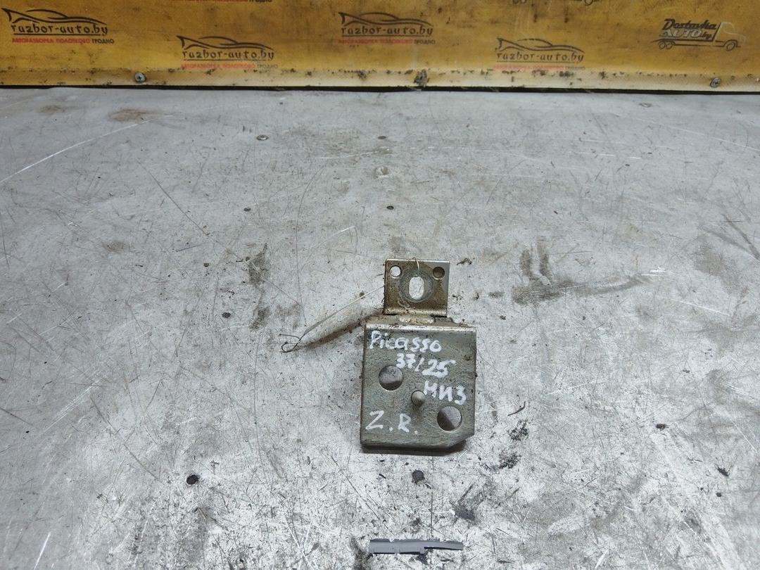 Петля двери задней правой LLY0FE Citroen Xsara Picasso купить с доставкой