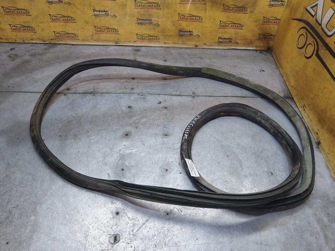 Уплотнитель двери передней левой 6VP7X1 Volkswagen Passat - Фото 1