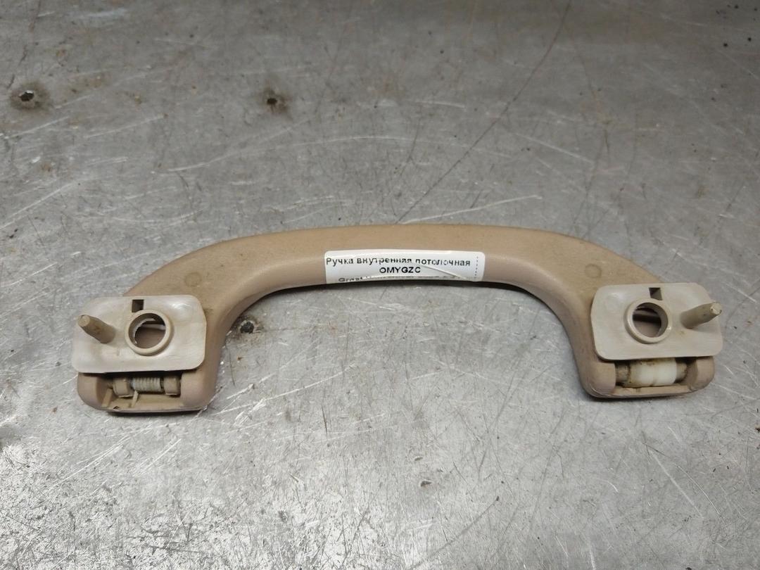 Ручка внутренняя потолочная OMYGZC Great-Wall Hover купить