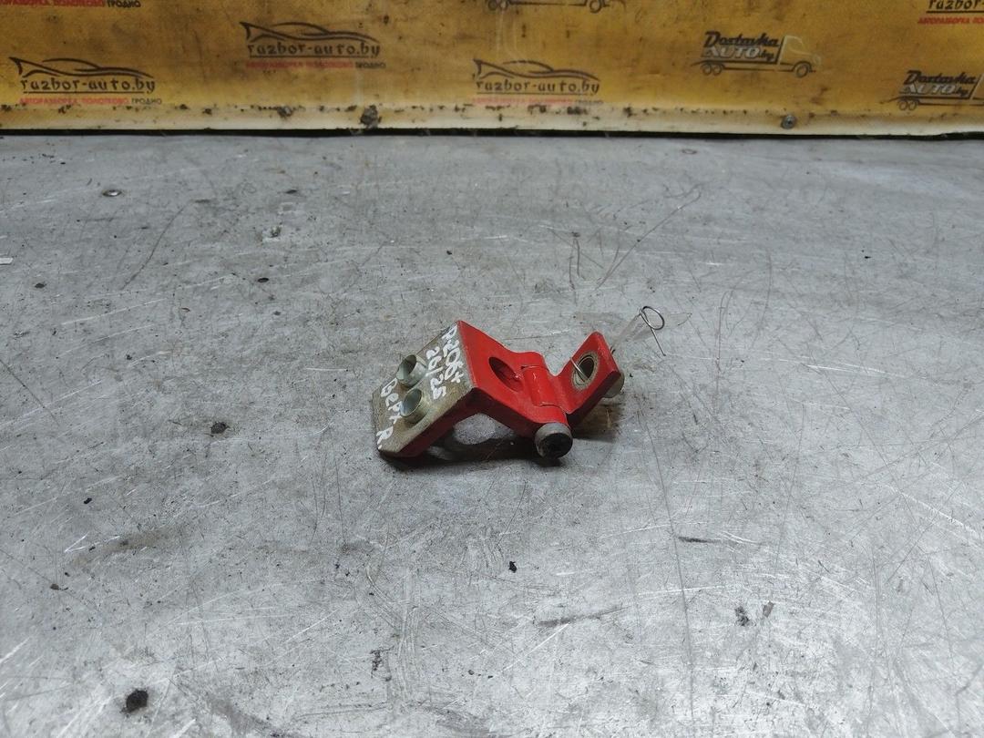Петля двери передней правой ZIN96Z Peugeot 206