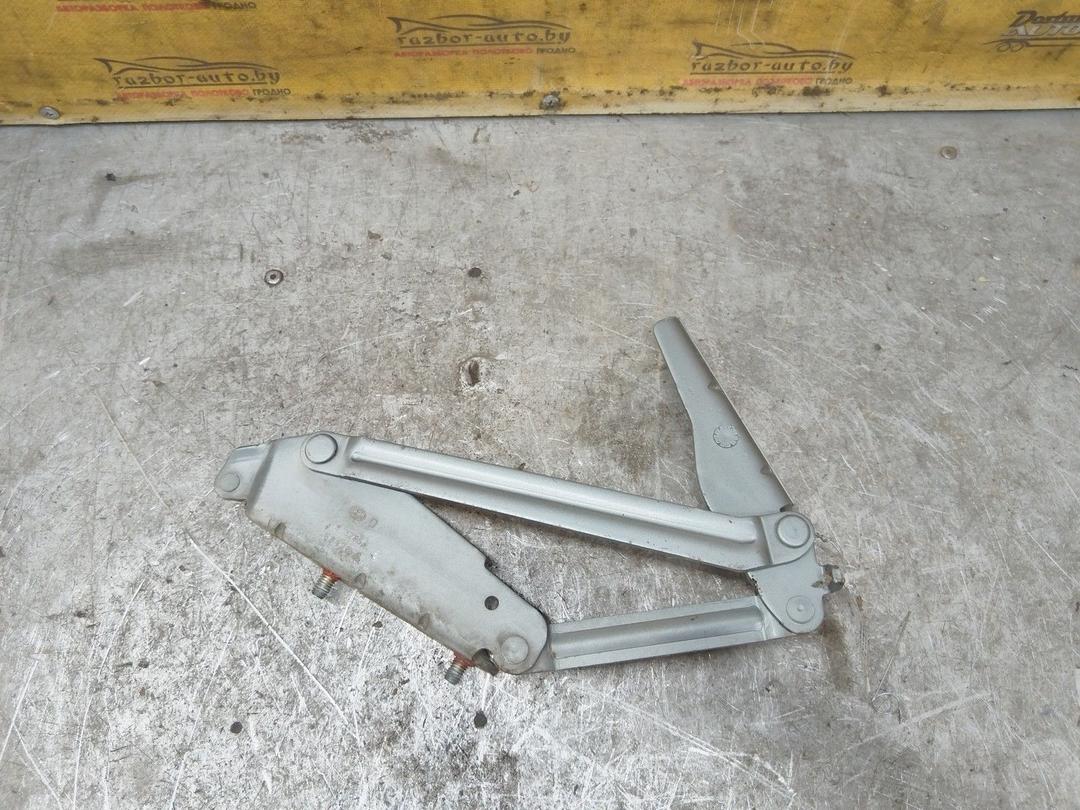 Петля крышки багажника WB01AD Renault Megane купить с доставкой