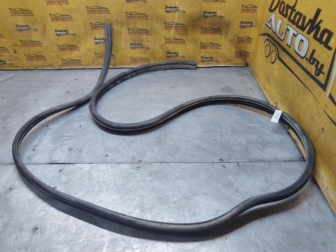 Уплотнитель двери задней левой 13J29M Renault Scenic RX4 - Фото 1