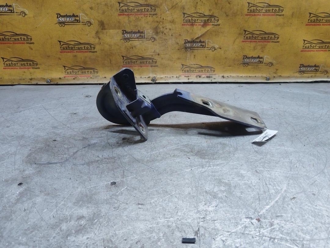 Петля капота левая ZW85J4 Renault Scenic купить с доставкой