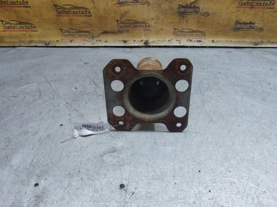 Клык бампера передний левый LYY08F Citroen C5 купить с доставкой