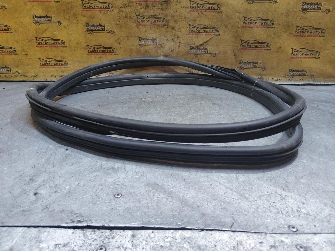 Уплотнитель двери задней левой 3BAG4F Citroen Xsara Picasso - Фото 2