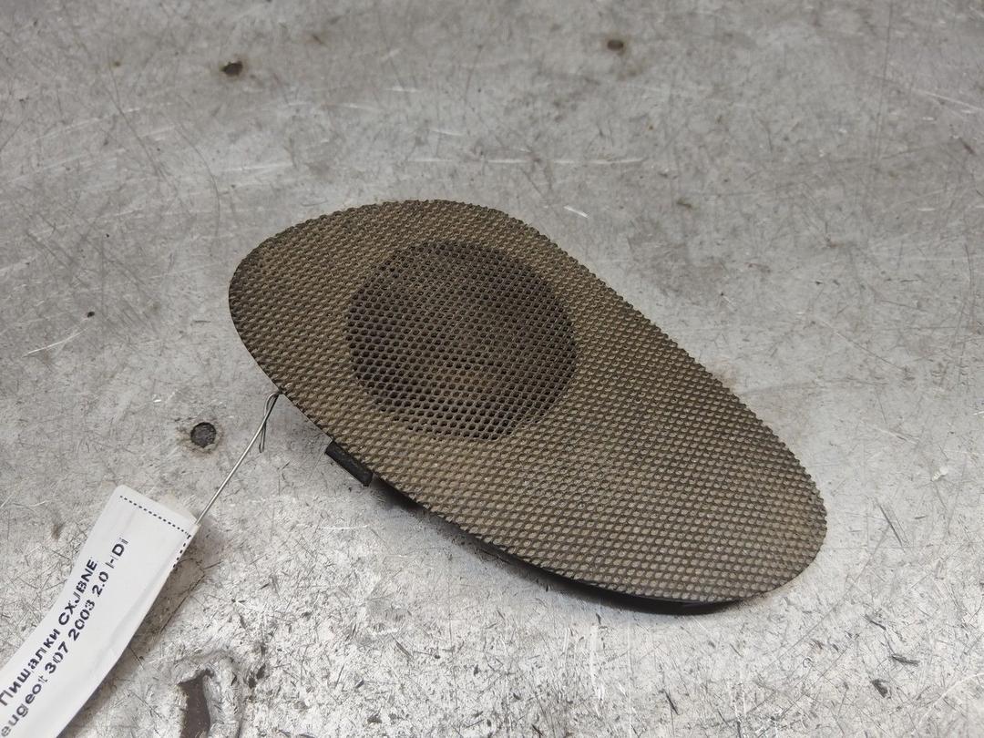 Пищалки CXJBNE Peugeot 307