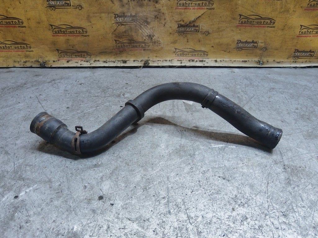 Патрубок радиатора E25BJA Citroen C5 - Фото 3