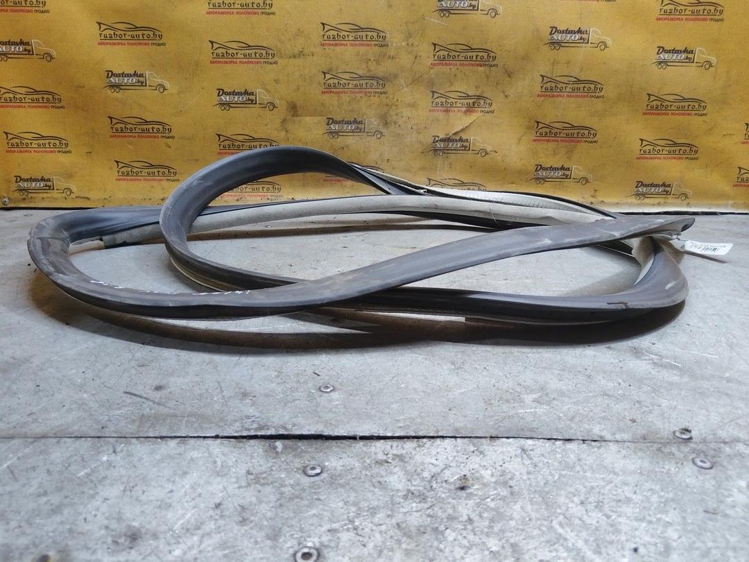 Уплотнитель двери задней левой 6SBCR2 Seat Toledo купить с доставкой