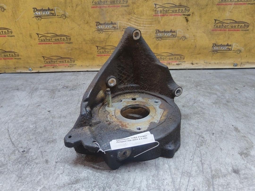 Крепление ТНВД FIWB9Y Peugeot 406 купить