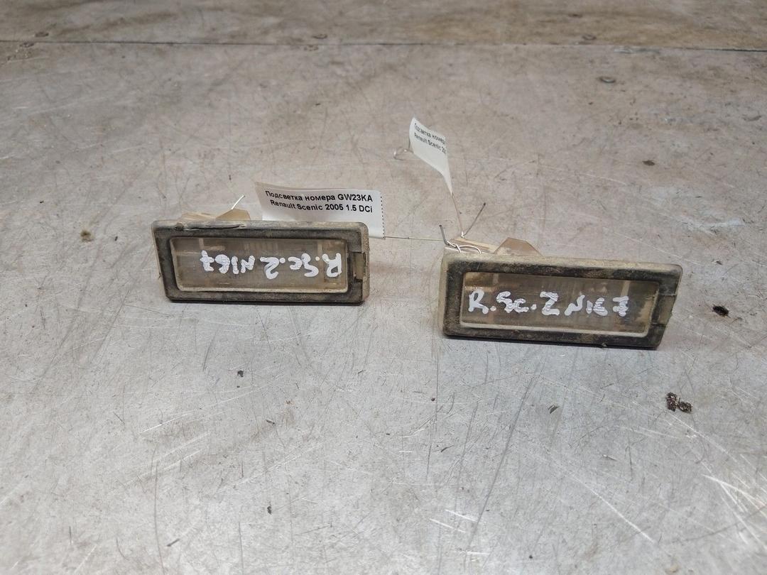 Подсветка номера GW23KA Renault Scenic - Фото 1