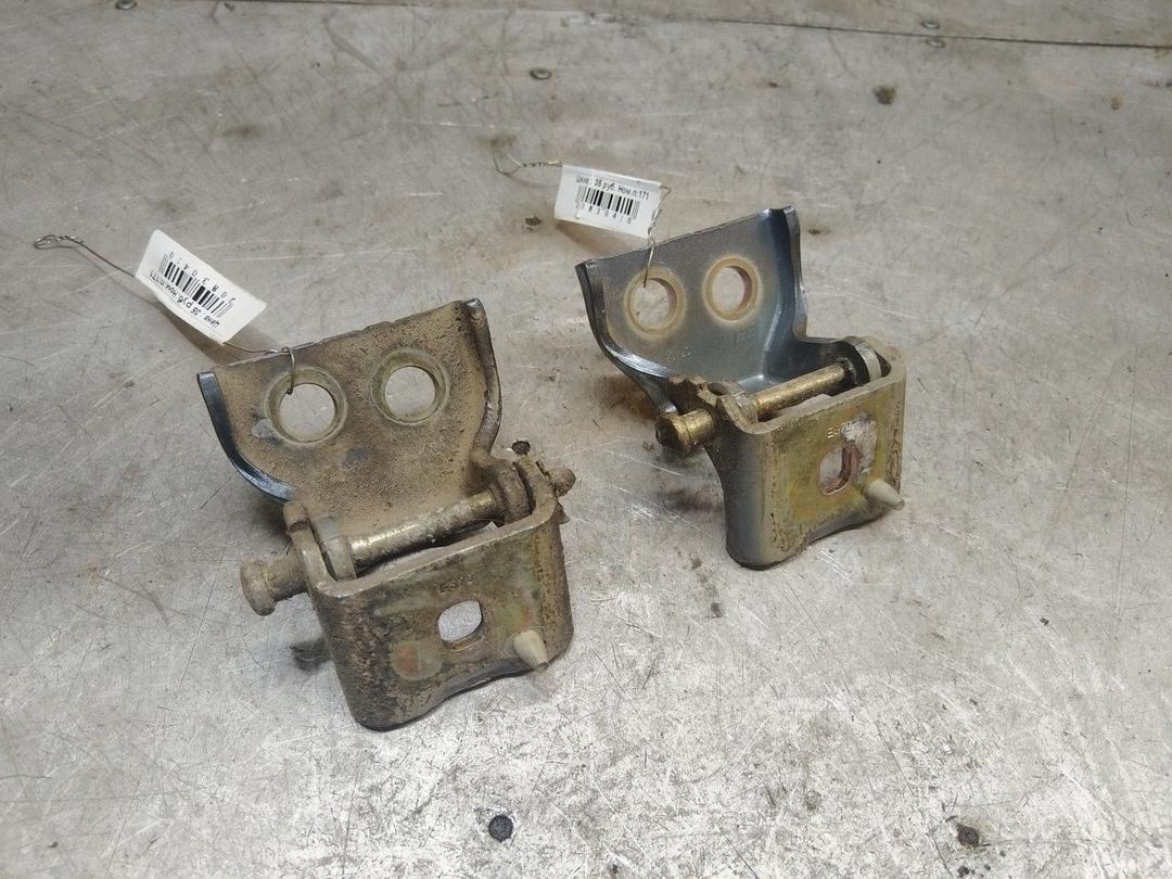 Петля двери задней левой FRG4PX Citroen C4 - Фото 2