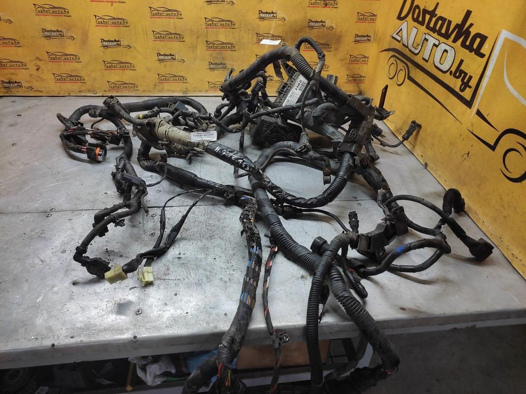 Проводка 7FGA24 Hyundai Getz - Фото 1