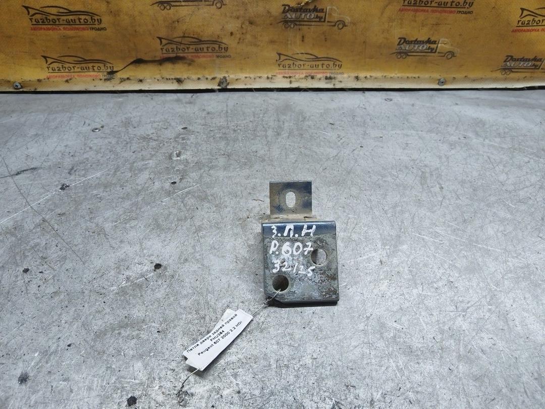 Петля двери задней правой FHU364 Peugeot 607 купить с доставкой