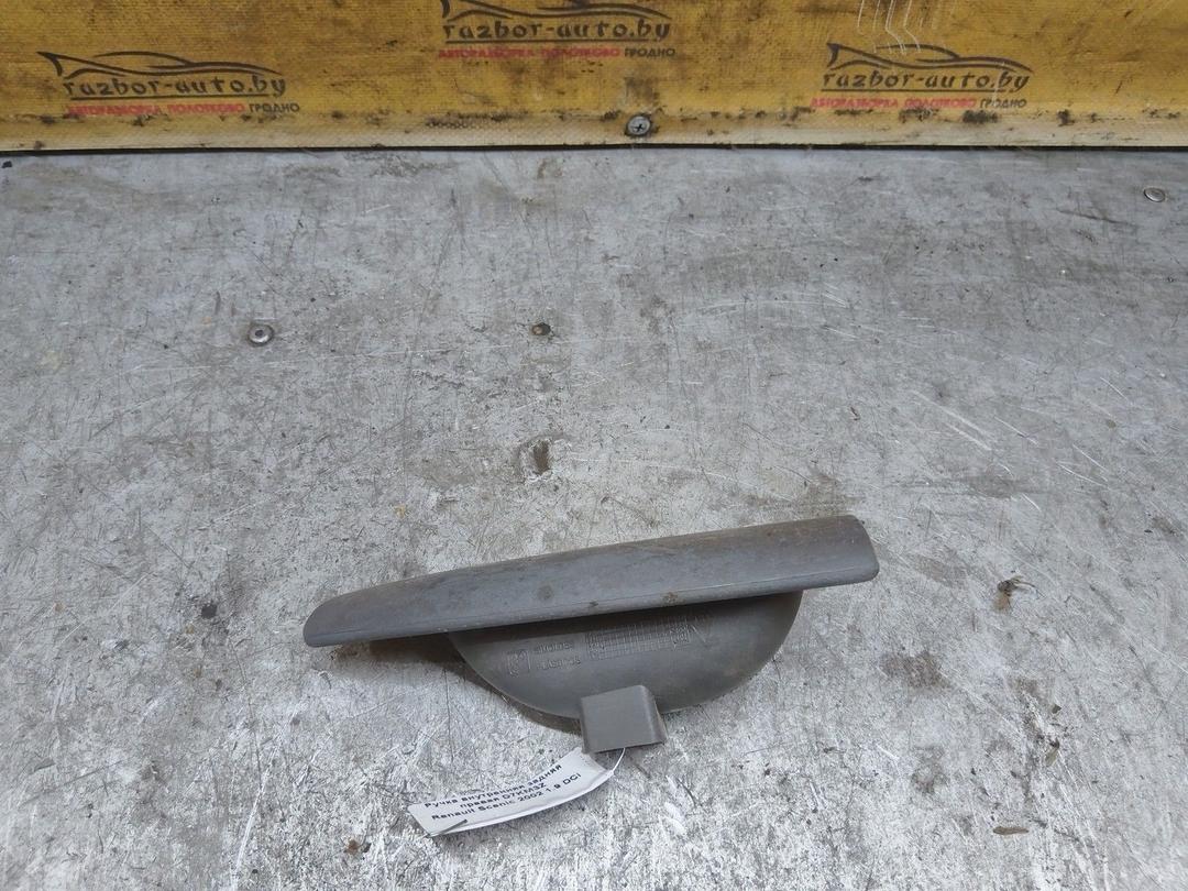 Ручка внутренняя задняя правая D7KM3Z Renault Scenic купить