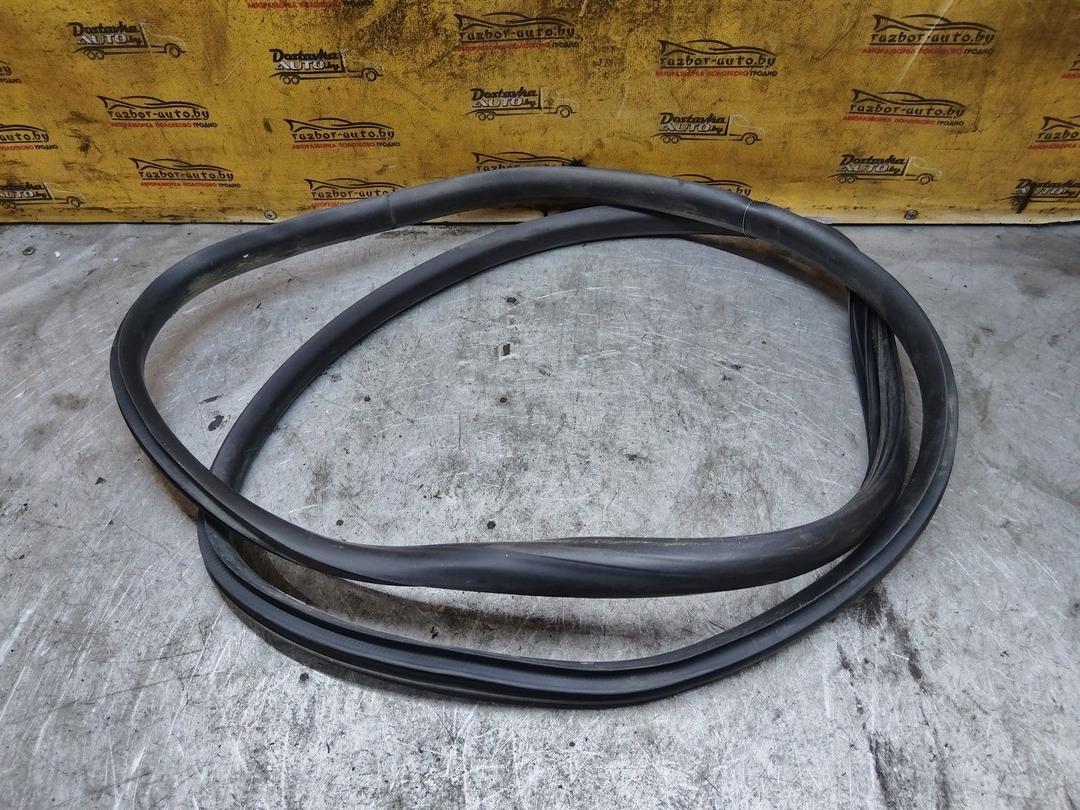 Уплотнитель двери задней левой 1X81GJ Hyundai Getz - Фото 3