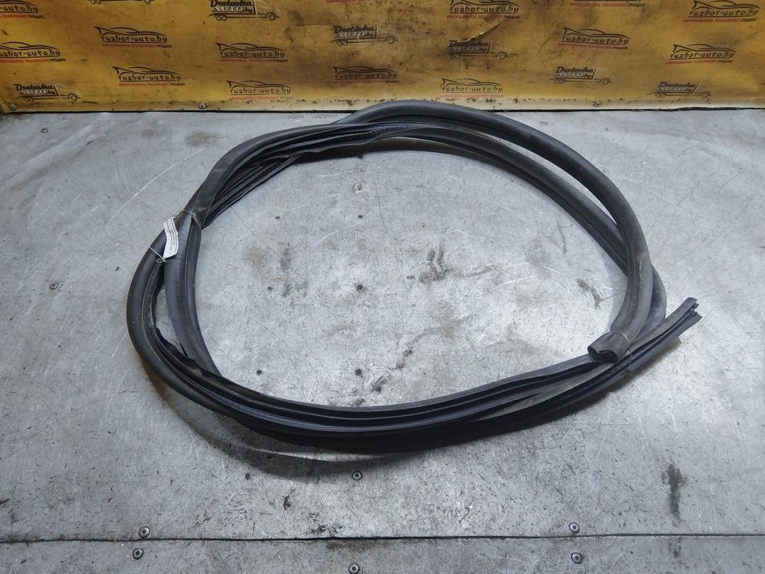 Уплотнитель двери передней левой D3VOEU Citroen Xsara Picasso