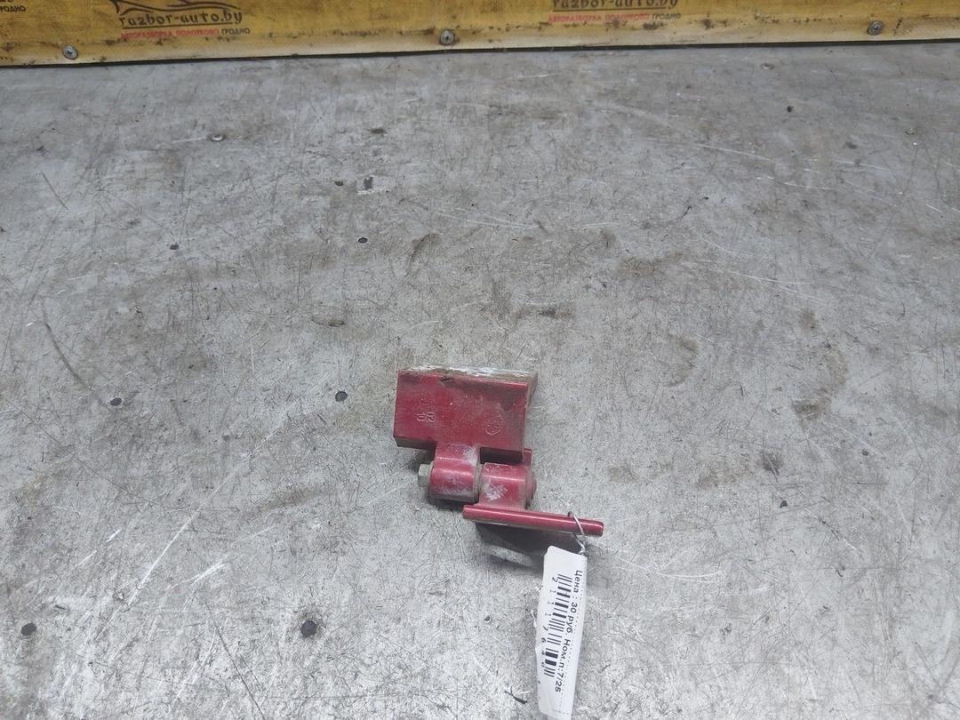 Петля двери передней правой OLKJNN Peugeot 406 купить