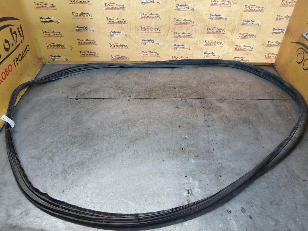 Уплотнитель двери задней правой 5YE31O Renault Scenic