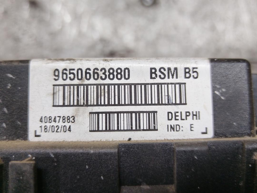 Блок BSM FCNR7R Peugeot 406 - Фото 7