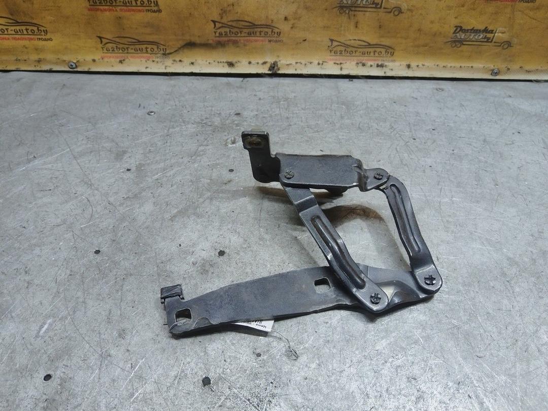 Петля капота левая BLMA0T Renault Scenic купить