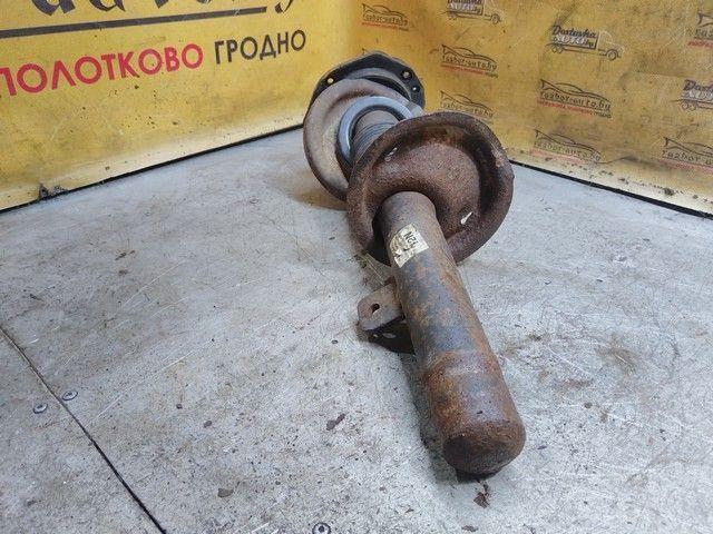 Амортизатор передний правый 9HFJKX Citroen Xsara Picasso купить в магазине запчастей бу