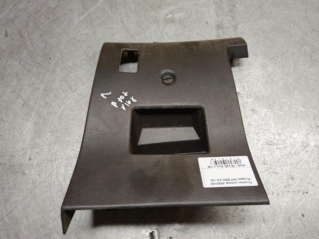 Пластик салона 4R3MMO Peugeot 307