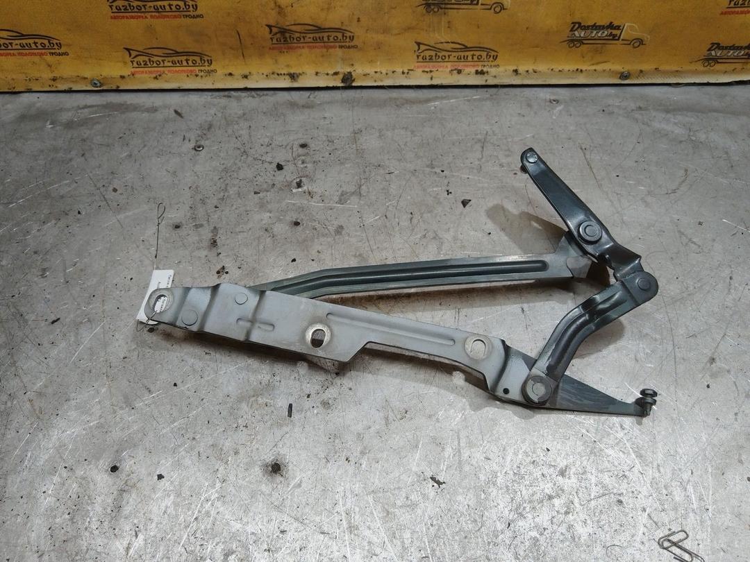 Петля крышки багажника 2ZJ7PU Audi 100 купить с доставкой
