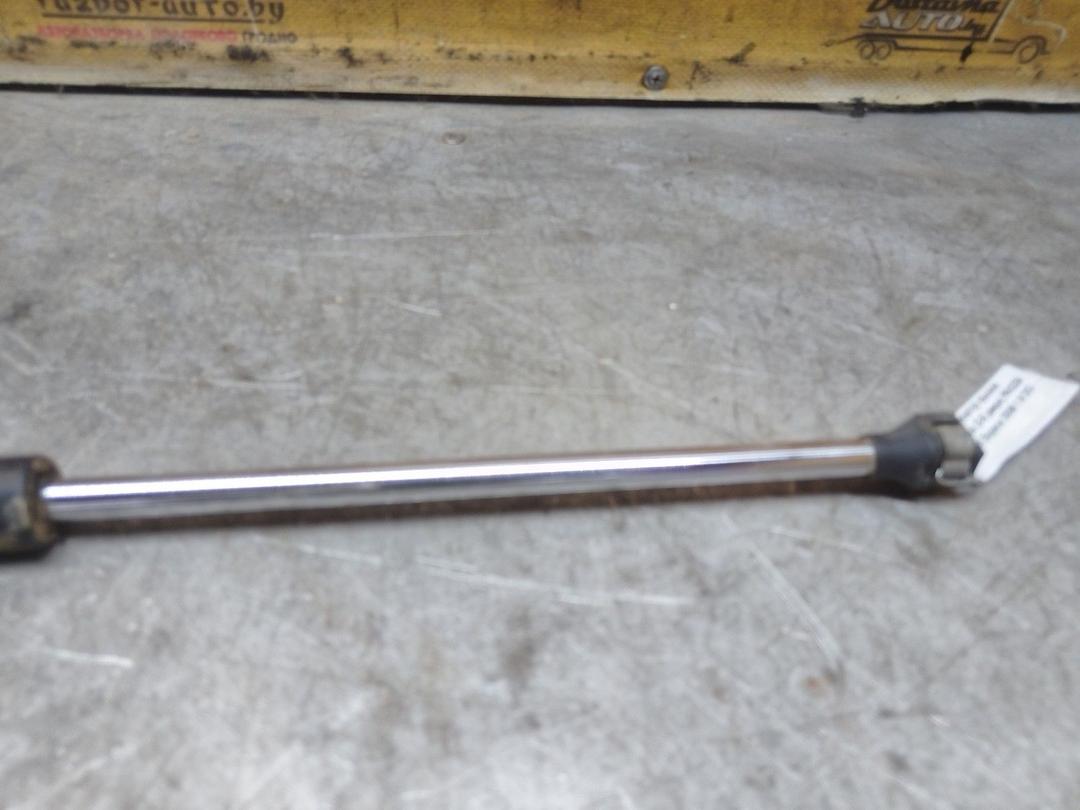 Амортизатор крышки багажника (3-5 двери) PAIOZ9 Renault Espace купить