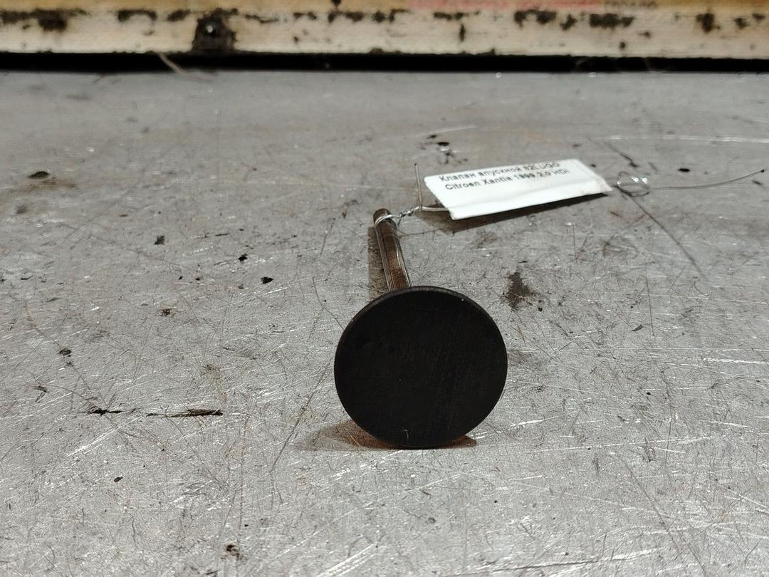 Клапан впускной 82LUGO Citroen Xantia - Фото 2