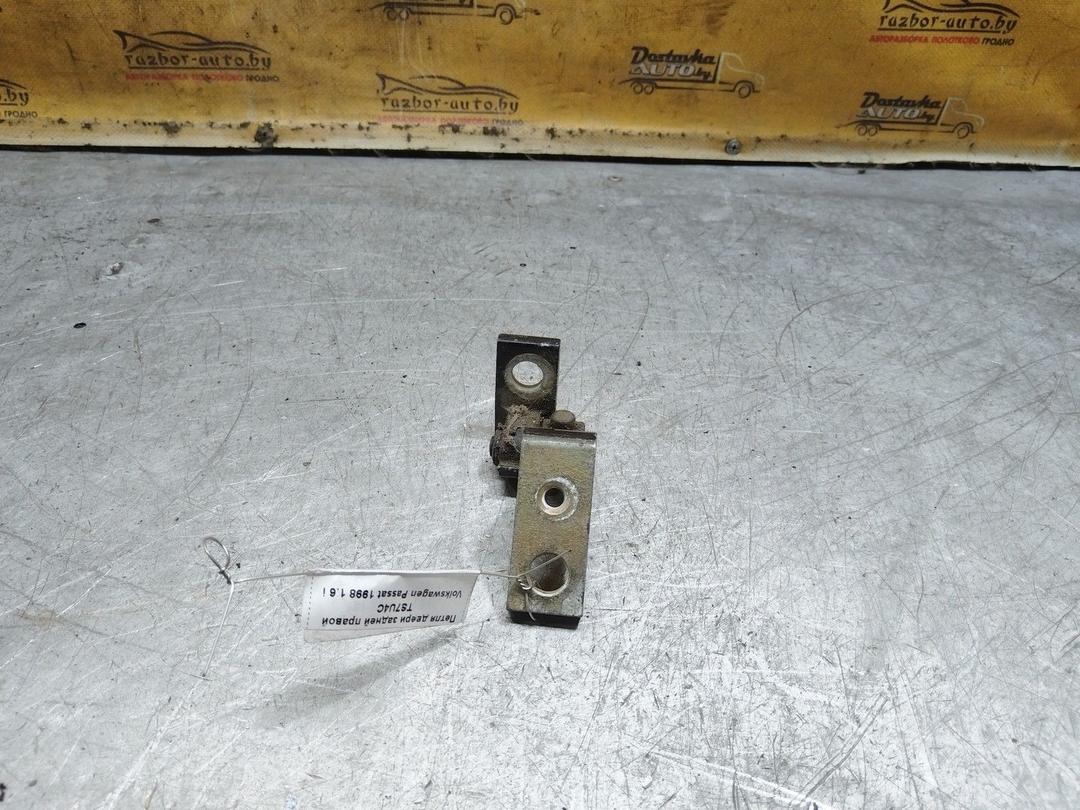 Петля двери задней правой TS7U4C Volkswagen Passat купить с доставкой