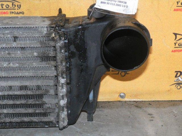 Интеркулер 1MIKSB BMW X5 E53 купить