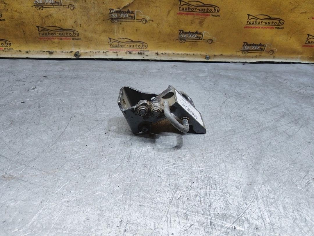 Петля двери задней левой R1RAX5 Audi A4