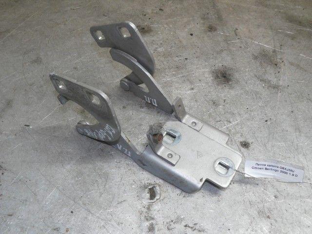 Петля капота O6XJMU Citroen Berlingo