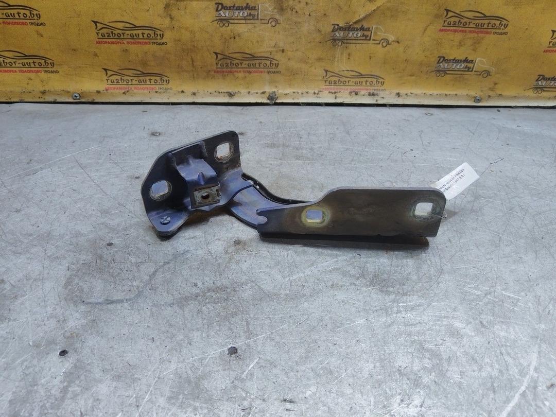 Петля капота правая HB6X6R Renault Scenic