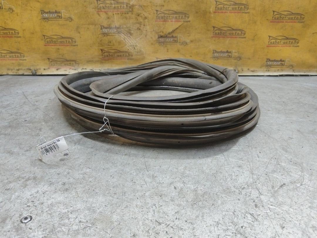 Уплотнитель двери задней правой 0ENMRH Fiat Linea - Фото 5