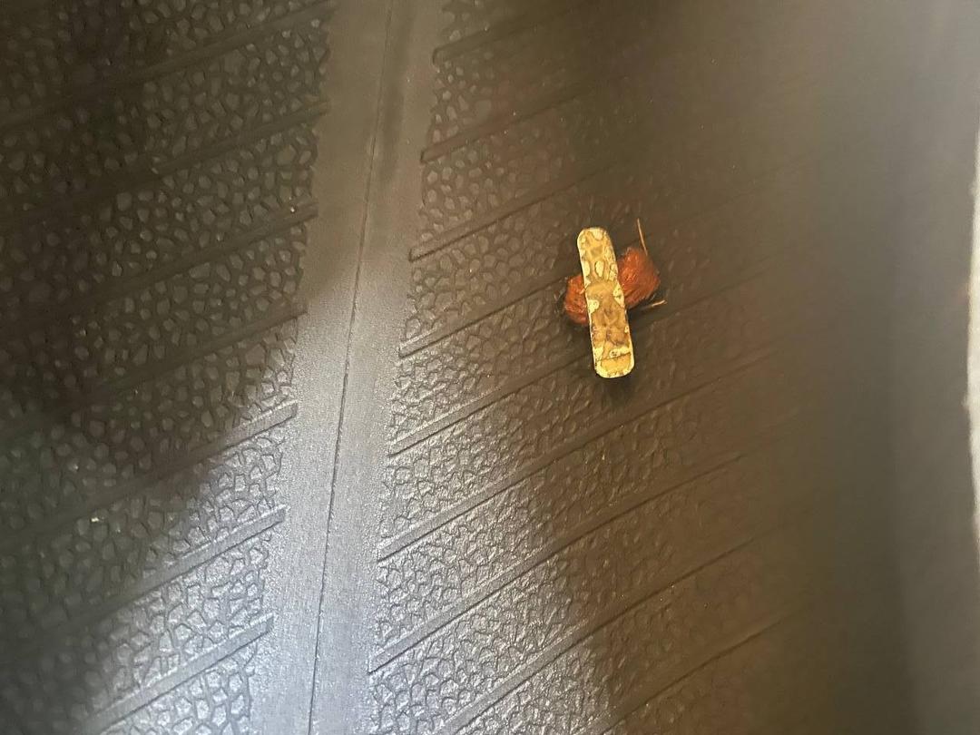 Шина Rotalla 205/55 R16 F4Z55Y F4Z55Y Rotalla купить с доставкой