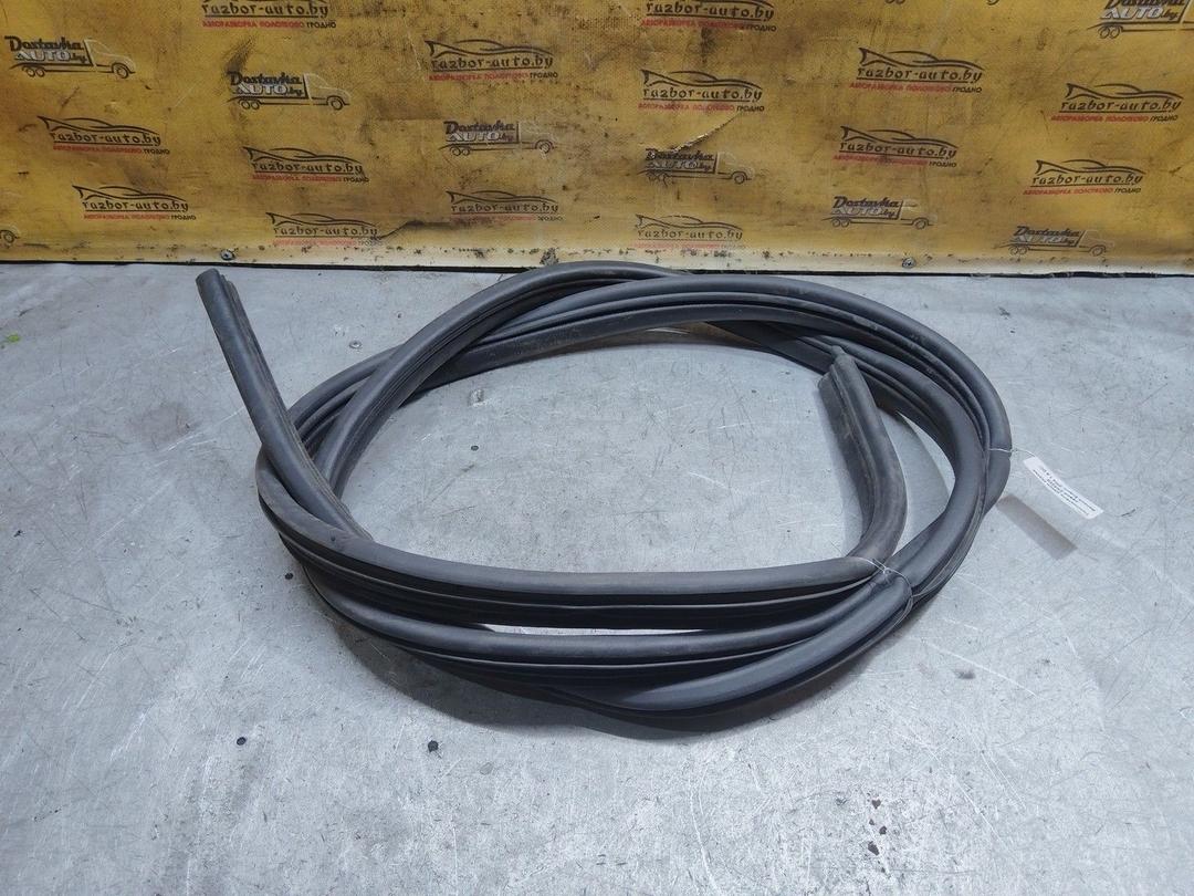 Уплотнитель двери задней левой ZXGZZ8 Renault Scenic купить