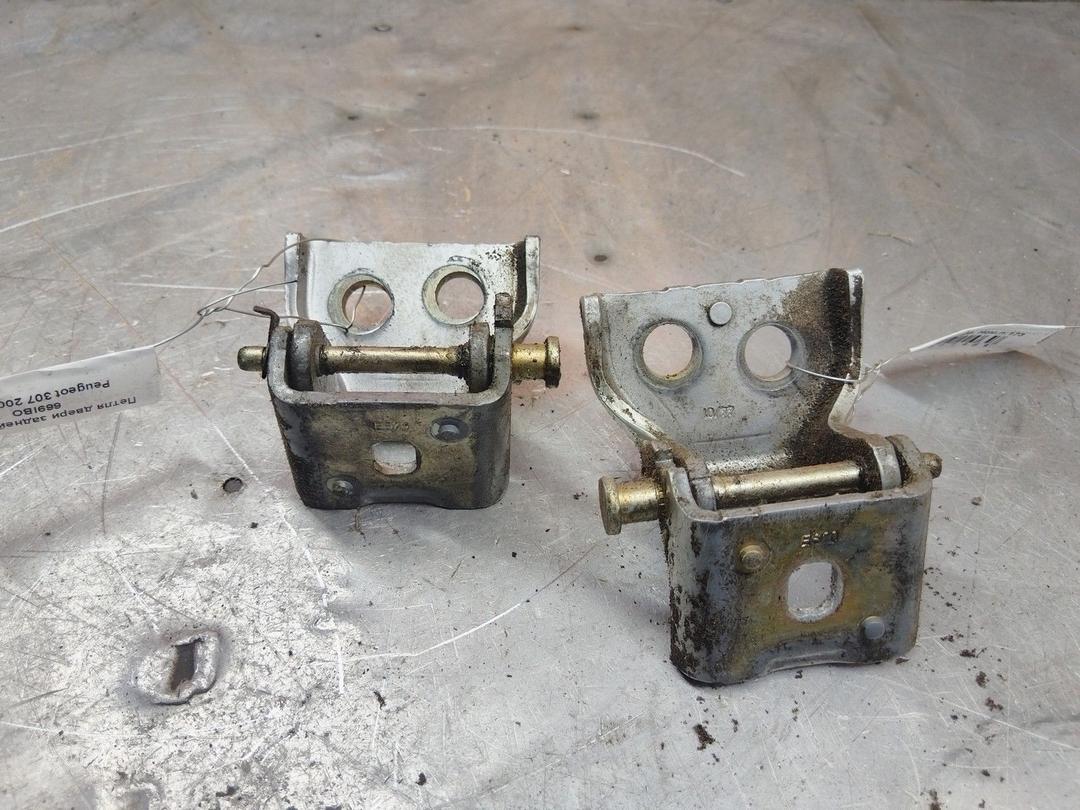 Петля двери задней правой 669IBO Peugeot 307 купить