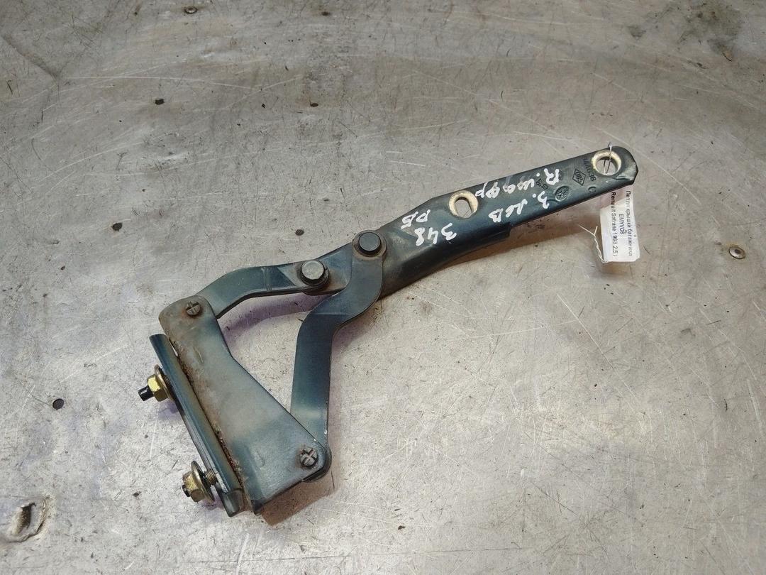 Петля крышки багажника EMYVO8 Renault Safrane - Фото 1