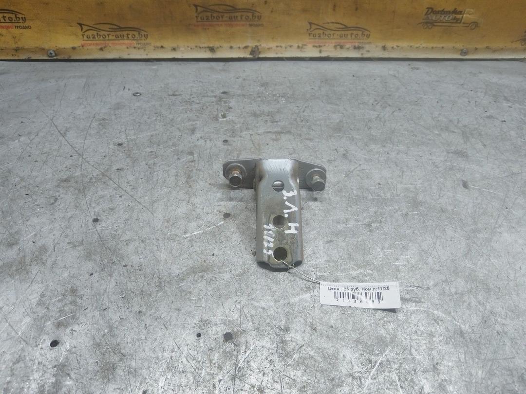 Петля двери задней левой XVLGCP Mitsubishi Grandis купить с доставкой