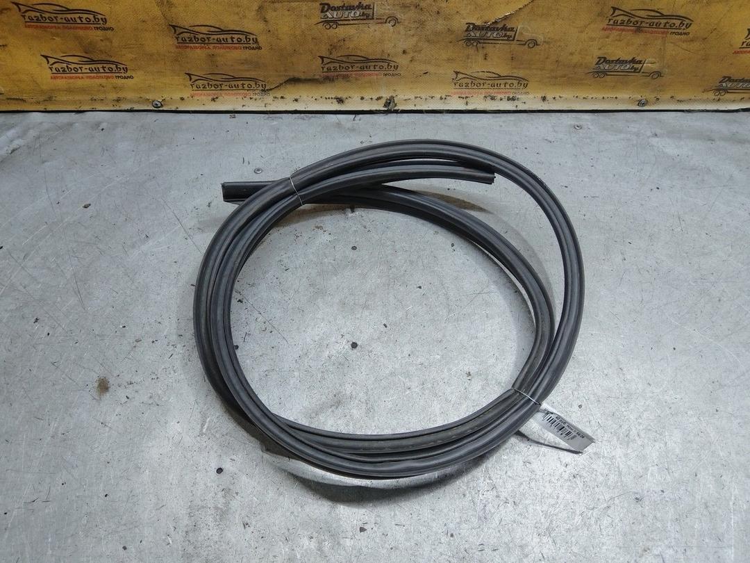 Уплотнитель NB1WV2 Citroen C3 купить с доставкой