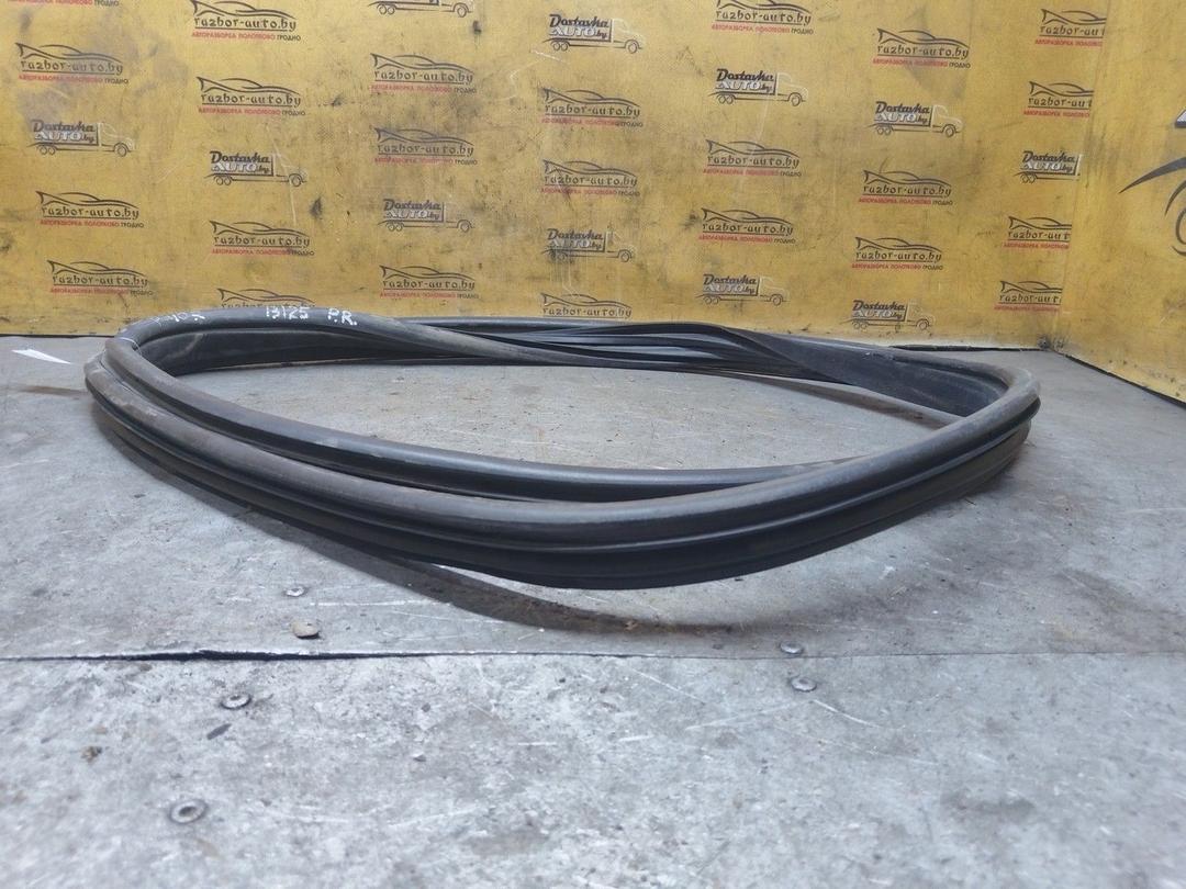 Уплотнитель двери передней правой L0WVTP Peugeot 407 купить на авторазборке