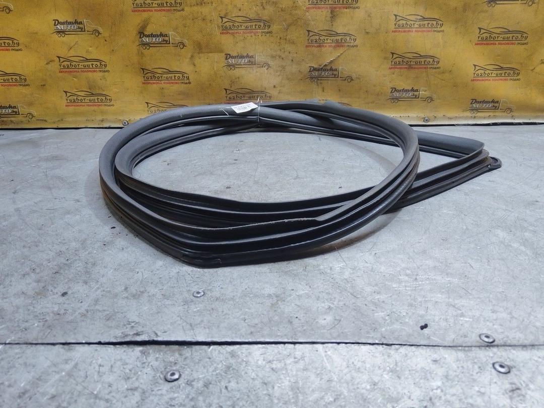 Уплотнитель двери передней правой 910S2J Toyota Corolla Verso - Фото 5