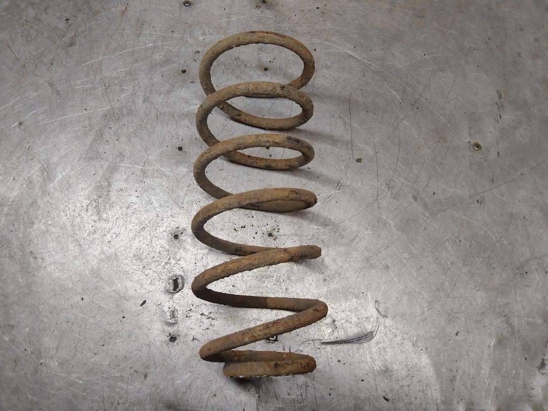 Пружина передняя 0RNUIG Volkswagen Passat