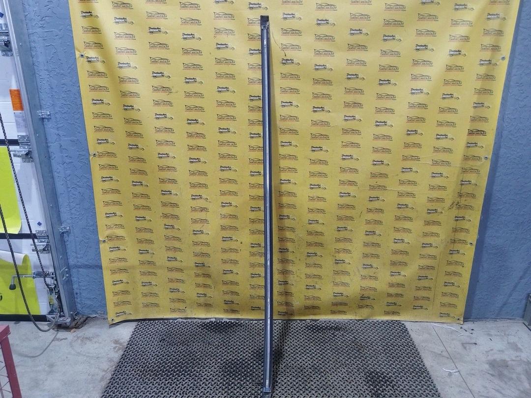 Молдинг крыши 8IEIPH Renault Scenic купить